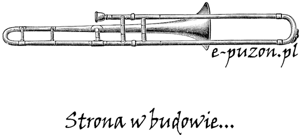 puzon_logo_w_budowie_600