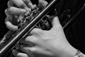 Nauka gry na trąbce online