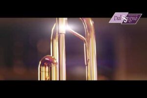 Yamaha-Trompet-Custom-Z-YTR-8310Z-Bobby-Shew